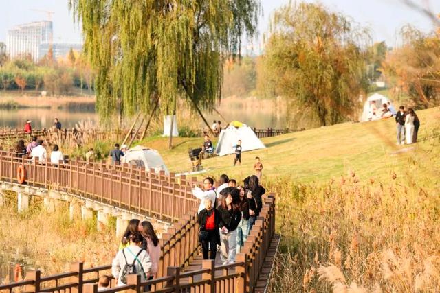 这含“金”量，不摆啦！贵阳的秋天，谁懂？