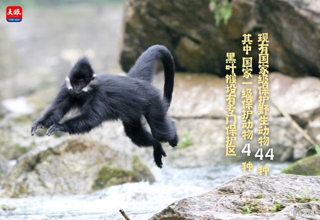 全国生态日｜一组海报速览美丽遵义