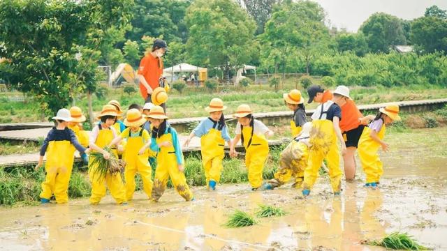 武汉这个街道藏不住了！已吸引百万人次