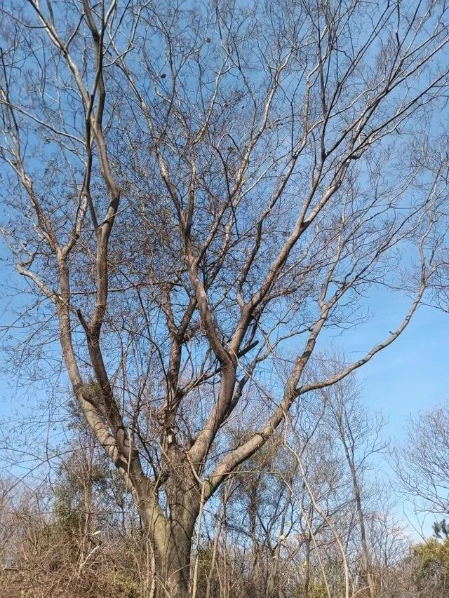 乌龙山，三江口的句号