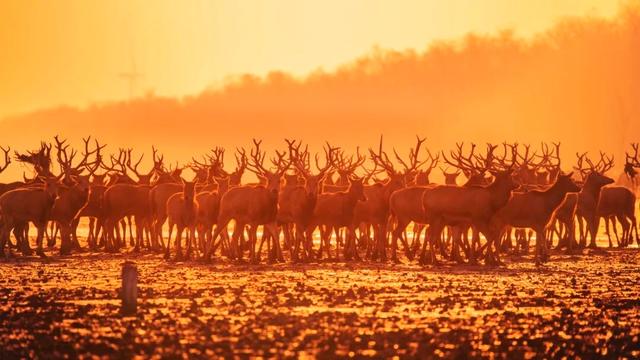新年游玩线路：老自一条，老己一条，自己一条