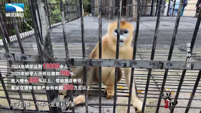 《是这个理》：缘来神农架