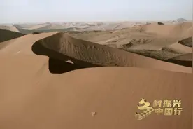 乡村振兴中国行丨种植一次可连续收割十年！甘肃民勤沙葱产值超3亿元图片