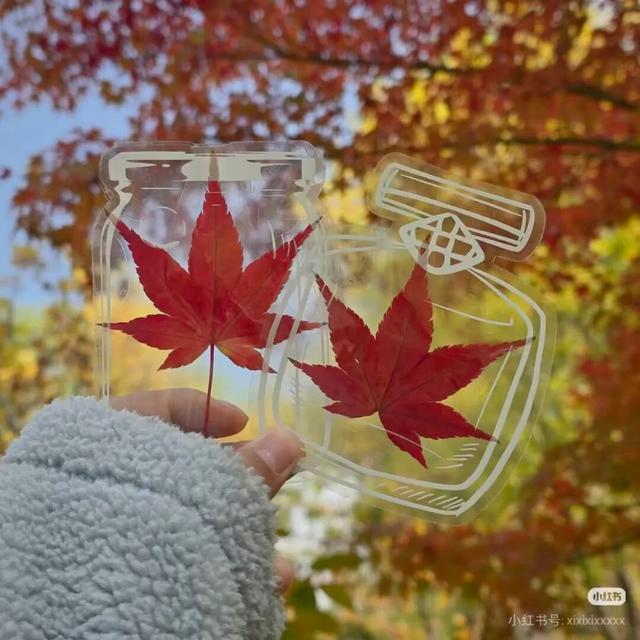 在甘肃，这些秋天仪式感拉满的事，你做了几件？