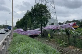 东莞电力施工塔吊倒塌砸到小轿车  现场仍在处置中图片