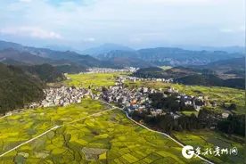 【一百天的春季 一百分的美丽】贵州从江：油菜花开乐享春光图片