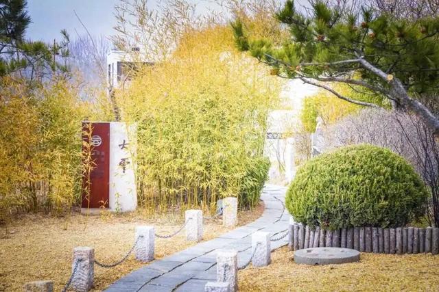 周末去哪儿？大连这八个馆里补给灵感~