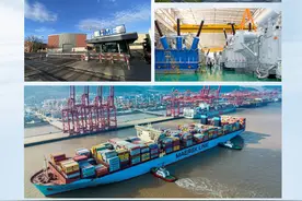 第一视点丨浙江：固“根”强“蔓”再出发图片