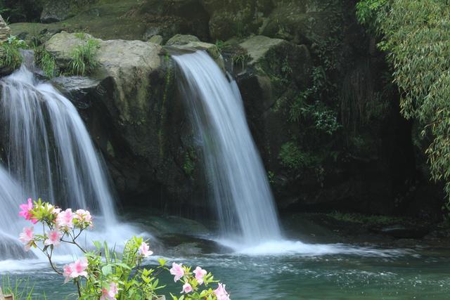一花一瀑一云烟，庐山春意正当时