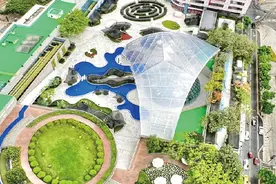 解放碑新晋打卡点——重庆黄桷树空中花园亮相图片