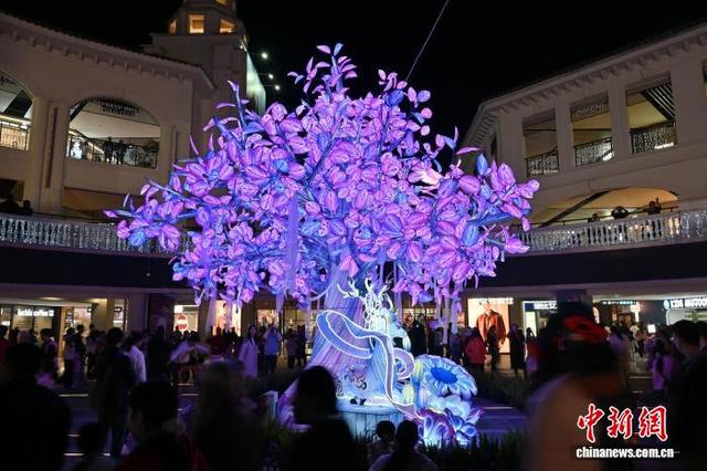 广东广州：2026年首届流溪烟渚新春灯会启幕