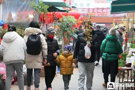 探访年前上海花卉市场：年宵花上市 鲜切蜡梅最受欢迎图片