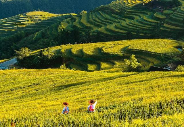 第二批“世界旅游名山”名单公布，湖南雪峰山入选！