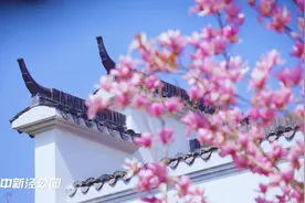春暖花开四月天，上海新泾的春景美翻天图片