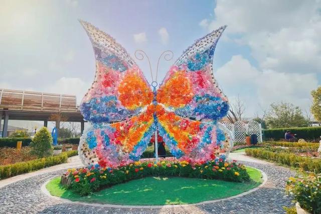 430000㎡秋日花海绚烂绽放！还有超萌顶流IP空降→