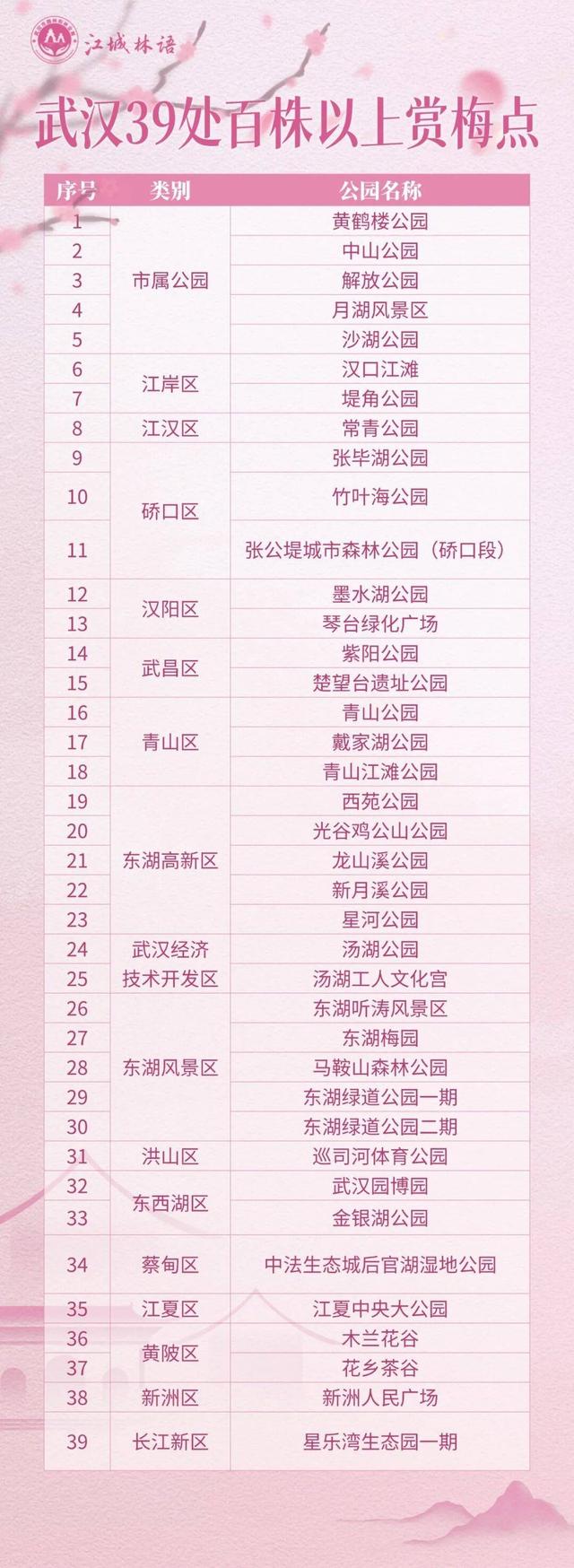 盛花期预报！武汉梅花迎来颜值巅峰，官方赏梅地图新鲜出炉