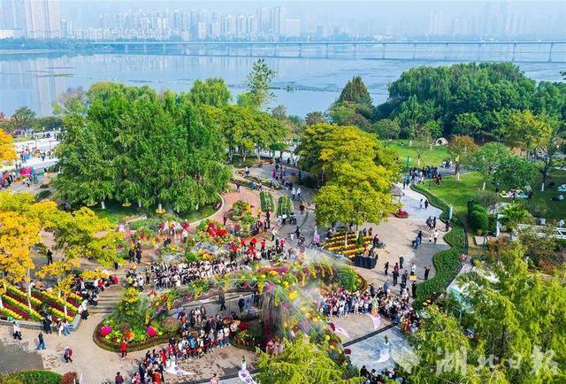 现场火爆！武汉今秋最大花展开幕