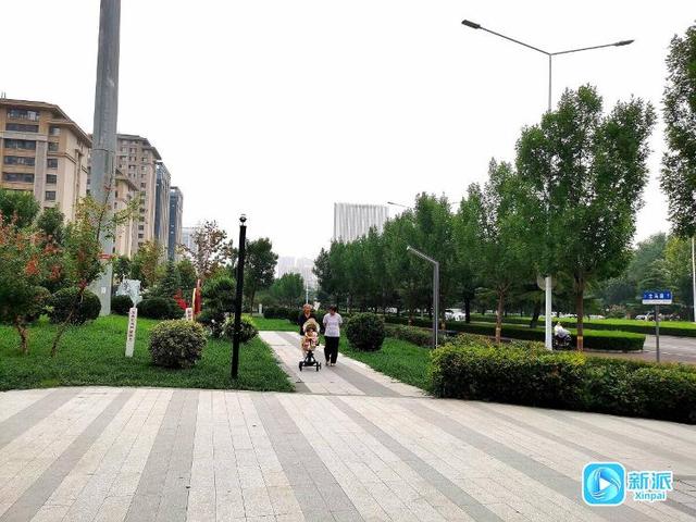 遛娃健身学知识！潍坊这个口袋公园太全能
