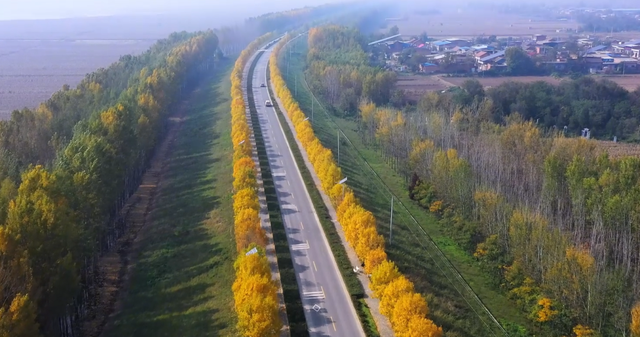 刷爆朋友圈！临潼这条“鎏金公路”，藏着不为人知的美→