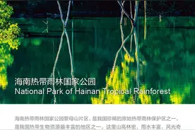 早安自贸港丨海南新添一所高职院校，计划明年9月开学→图片