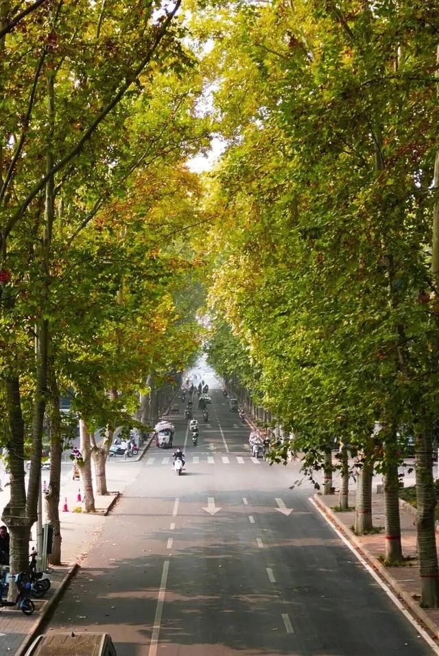 周末就去，洛阳这些街巷，太好“钻”了！