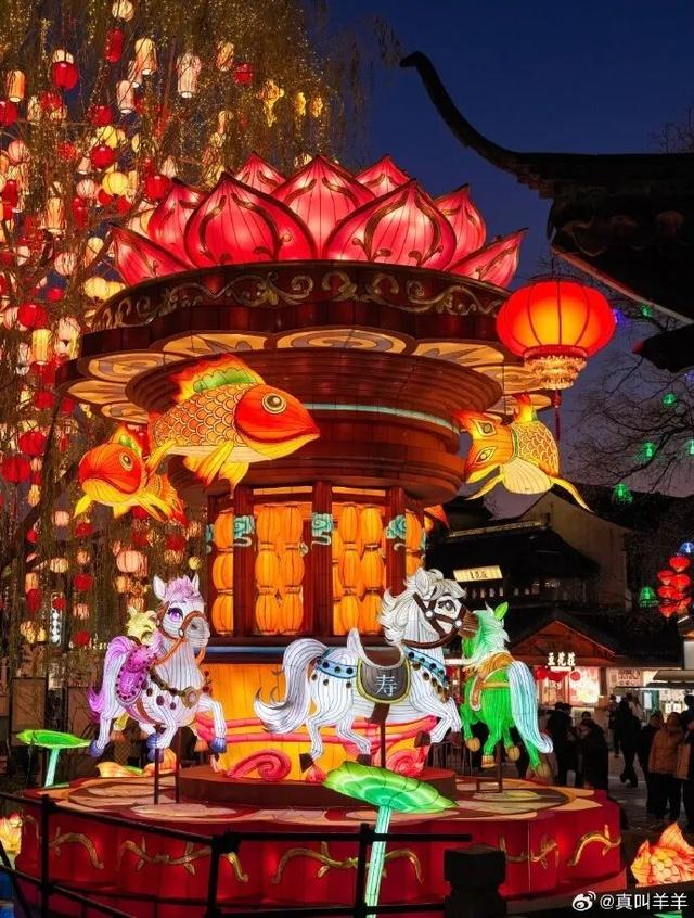 门东新“顶流”！一棵美到让全南京排队围观的树！