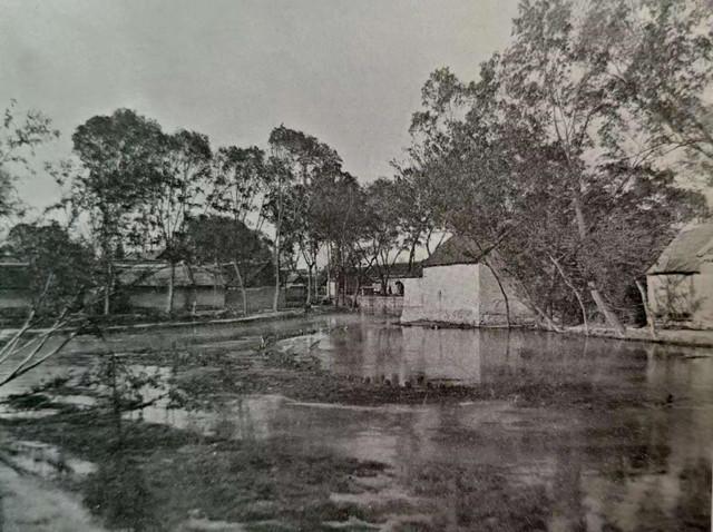 人文齐鲁|北园纪事