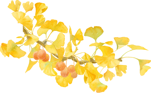 金灿灿！宜都限定美景上线！