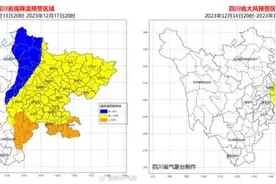 成都下雪了！最低气温将降至零下3℃图片