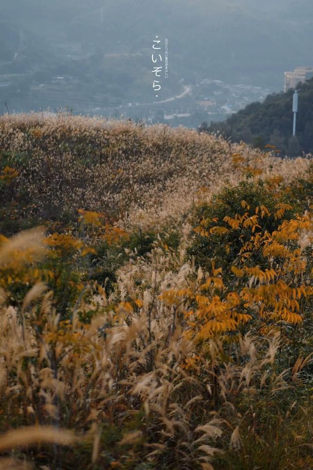 属于福安人的第一场“雪”来了！