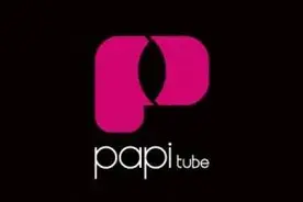 网红“papi酱”公司发布违法广告被罚；“Disney”迪士尼耳机、“DDPAI”记录仪抽检不合格图片