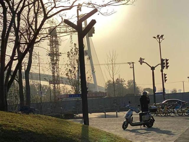 三林水森林未开先火，网络疯转“潜入攻略”！记者探访：确有不少游客；建设方：今年内完工，请静待开放