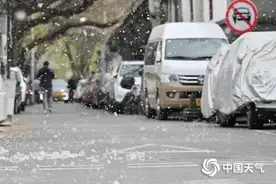 毛҉毛҉毛҉毛҉毛҉……高发期预警，这几点千万小心！图片