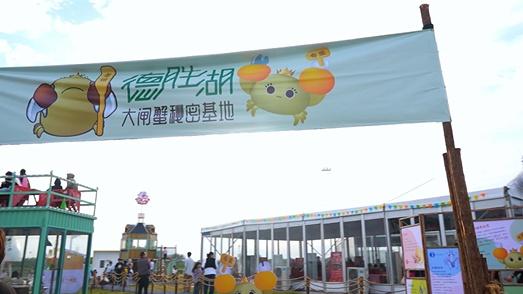 桃花岛在哪？水浒寨啥来头？深藏兴化这里……