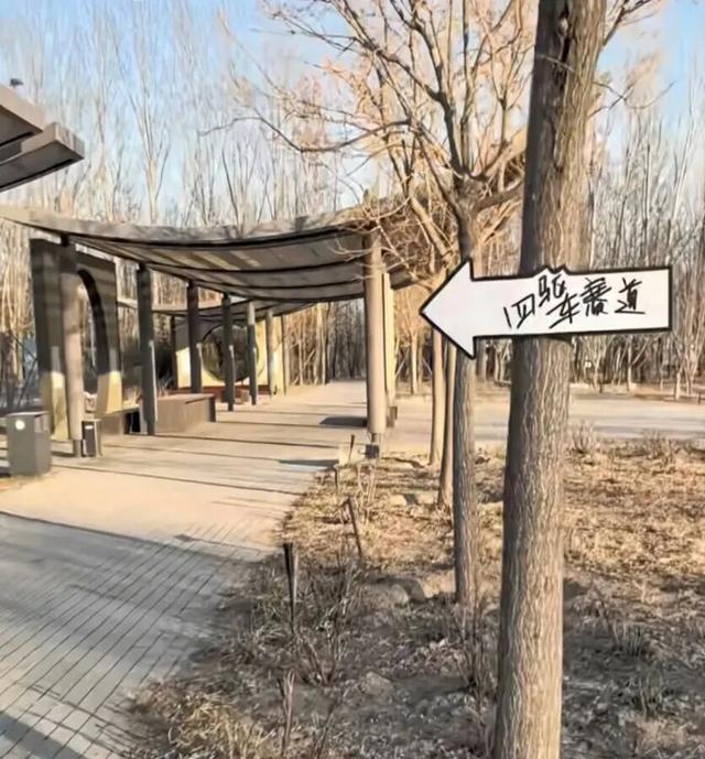 从北京公园里的一条“导水槽”，到全国首座“四驱车公园”