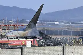 韩国客机碰撞起火事故致179人遇难  “飞鸟撞机”有多危险？图片