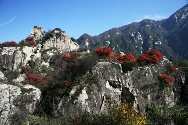 淡季优惠来了！这些秦岭景区向你发出冬日邀约
