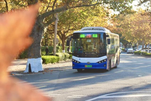 市北巴士219路：开进金色童话的公交车