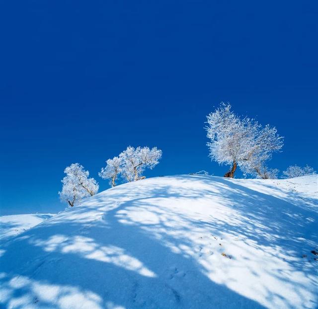 中国最美雾凇观赏地，在哪？