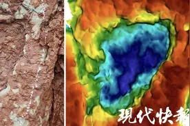 西藏昌都发现世界最小的蜥脚类恐龙足迹化石图片