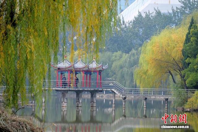 河北石家庄秋韵浓