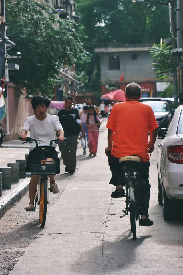 漫步碑林|从晨风到星光，在碑林邂逅夏日“小确幸”