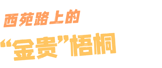 快出门！这些全是洛阳冬日限定！