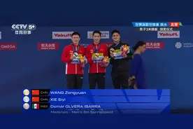 世界泳联锦标赛跳水男子3米板 王宗源摘金谢思埸夺银图片