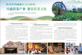 陕西省西咸新区泾河新城 兴盛茯茶产业 繁荣茯茶文化图片