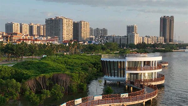湛江逛吃地图更新！这条宝藏路线，我能逛100遍→