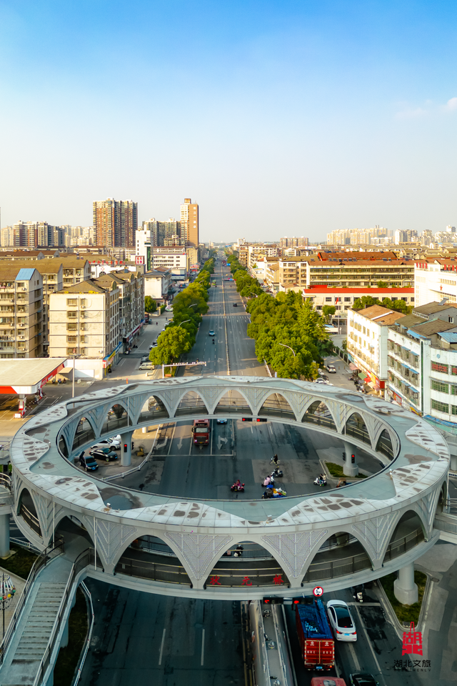 宝藏仙桃，太“鲜”啦！（采风招募）