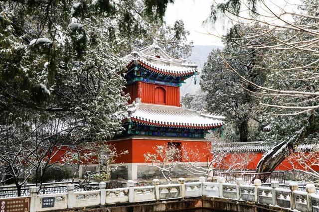 北京全城等雪来！故宫约不上？这些地方随手一拍也是大片——