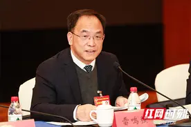 特写湖南·声音丨雷鸣强：以“馆园融合”为核心牵引 打造“长沙城市中央文化游憩区”图片