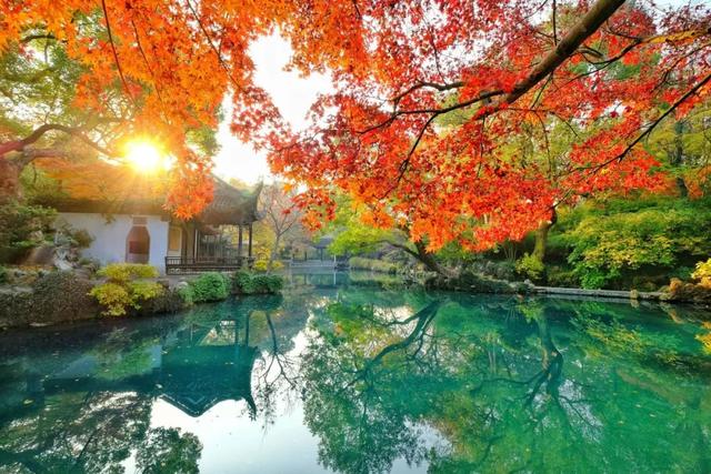 今天，这里挤爆了！